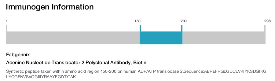 Adenine Nucleotide Translocator 2 Polyclonal Antibody, Biotin