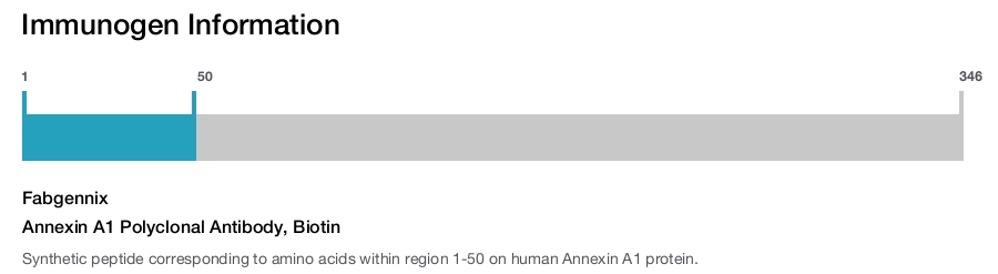Annexin A1 Polyclonal Antibody, Biotin