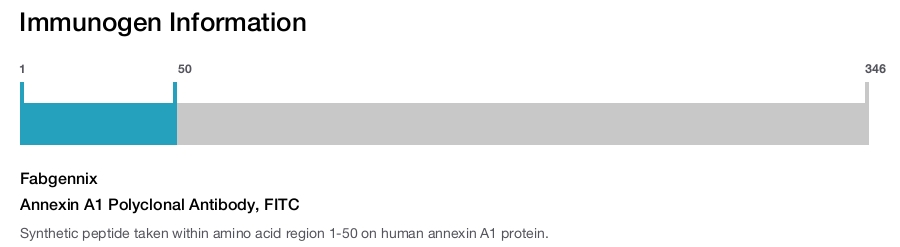 Annexin A1 Polyclonal Antibody, FITC