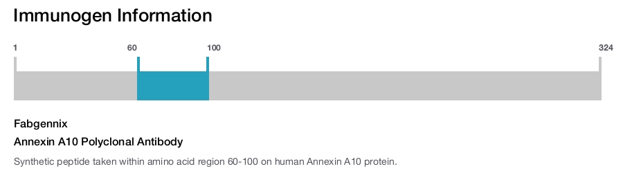 Annexin A10 Polyclonal Antibody