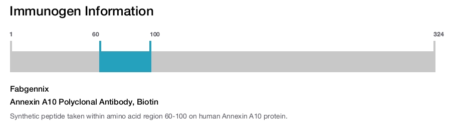 Annexin A10 Polyclonal Antibody, Biotin