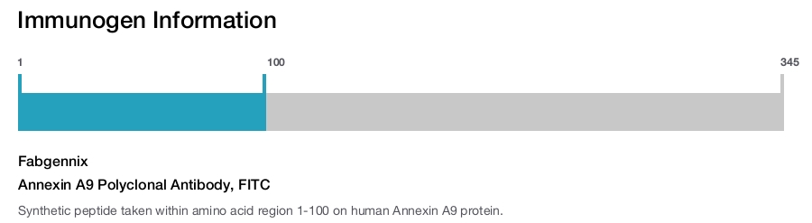 Annexin A9 Polyclonal Antibody, FITC