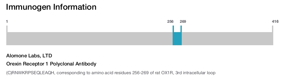 Orexin Receptor 1 Polyclonal Antibody