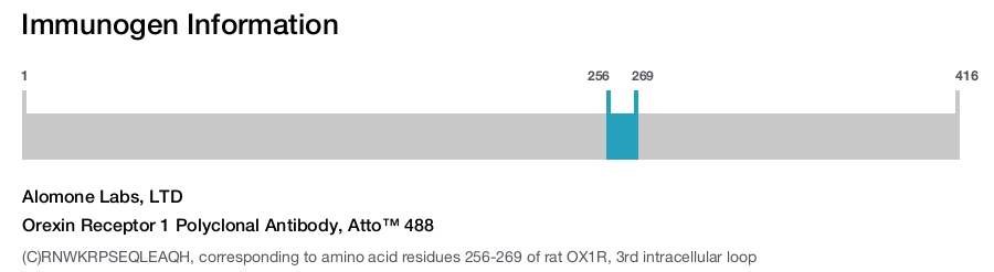 Orexin Receptor 1 Polyclonal Antibody, Atto™ 488