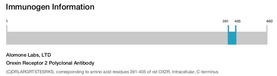 Orexin Receptor 2 Polyclonal Antibody