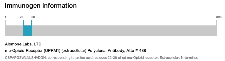 mu-Opioid Receptor (OPRM1) (extracellular) Polyclonal Antibody, Atto™ 488