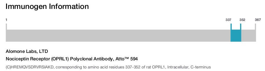 Nociceptin Receptor (OPRL1) Polyclonal Antibody, Atto™ 594