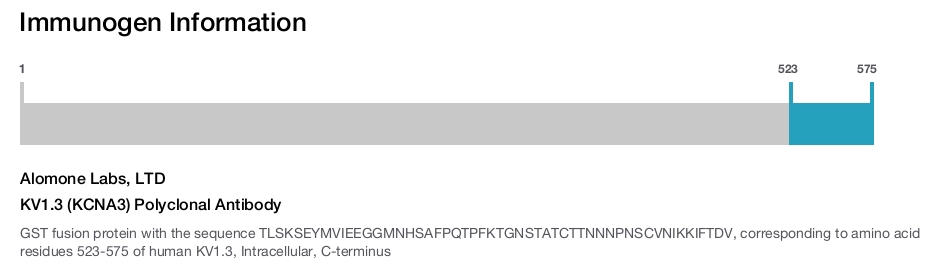 KV1.3 (KCNA3) Polyclonal Antibody