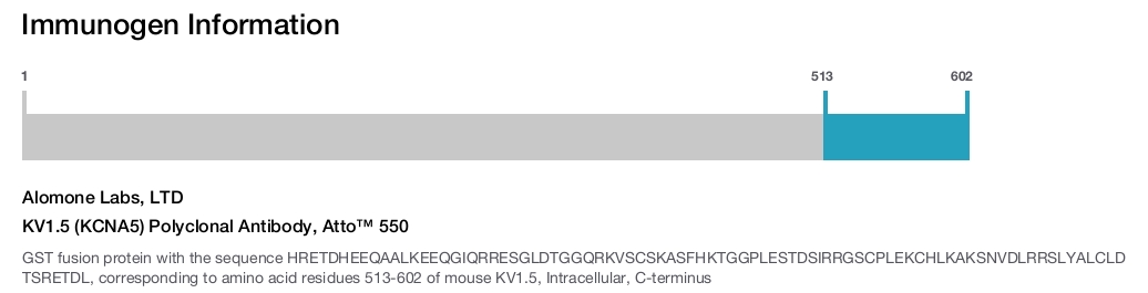 KV1.5 (KCNA5) Polyclonal Antibody, Atto™ 550
