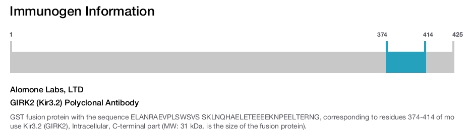 GIRK2 (Kir3.2) Polyclonal Antibody