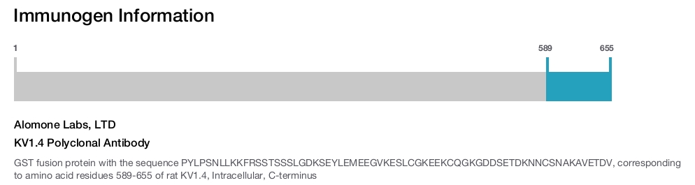 KV1.4 Polyclonal Antibody
