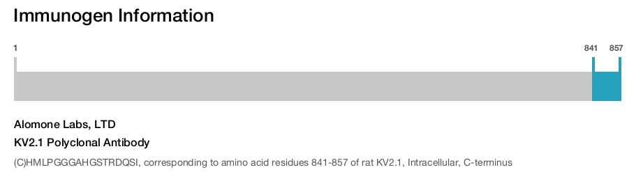 KV2.1 Polyclonal Antibody