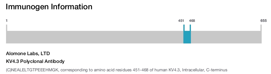 KV4.3 Polyclonal Antibody