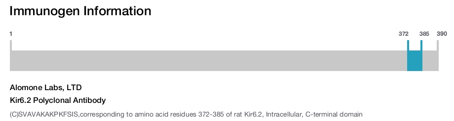 Kir6.2 Polyclonal Antibody
