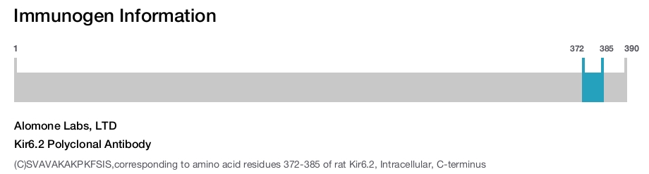 Kir6.2 Polyclonal Antibody