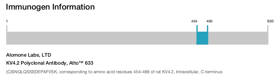 KV4.2 Polyclonal Antibody, Atto™ 633