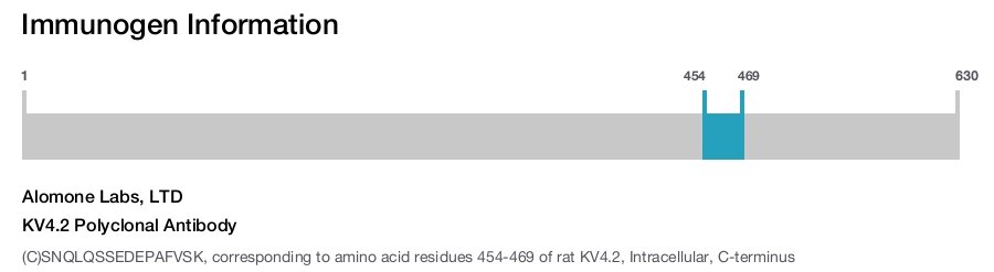 KV4.2 Polyclonal Antibody