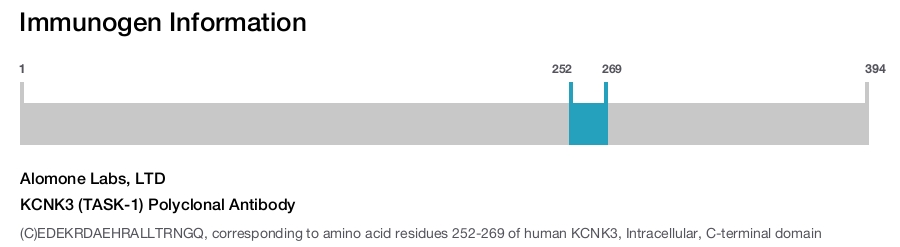 KCNK3 (TASK-1) Polyclonal Antibody