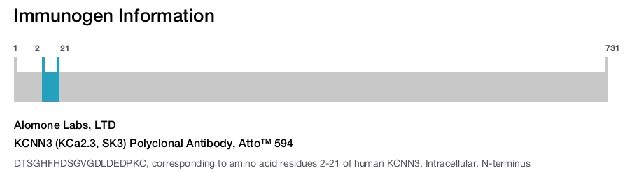 KCNN3 (KCa2.3, SK3) Polyclonal Antibody, Atto™ 594