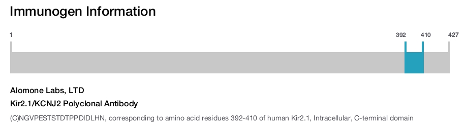 Kir2.1/KCNJ2 Polyclonal Antibody