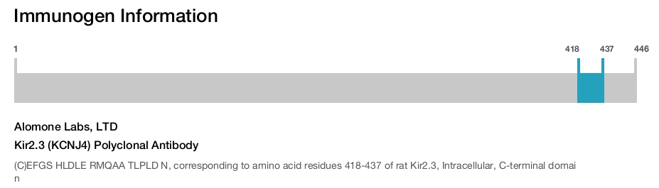 Kir2.3 (KCNJ4) Polyclonal Antibody