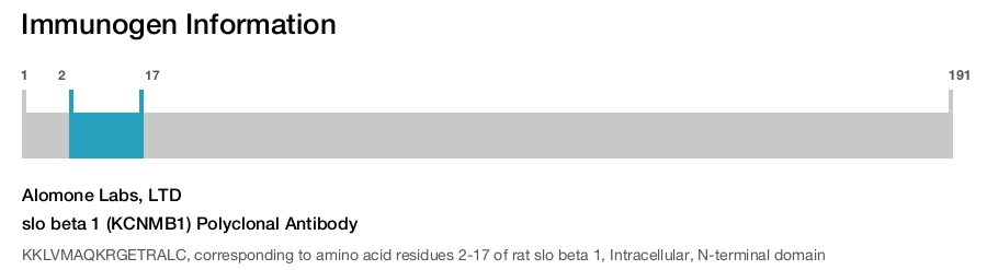 slo beta 1 (KCNMB1) Polyclonal Antibody