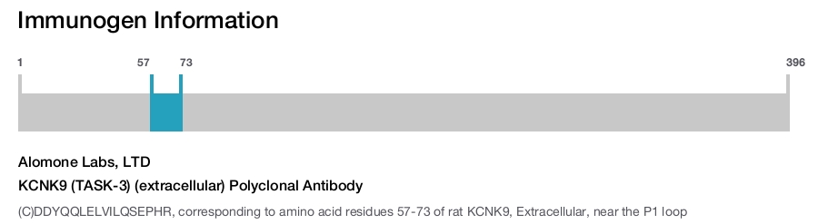 KCNK9 (TASK-3) (extracellular) Polyclonal Antibody