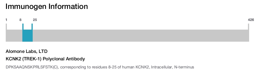 KCNK2 (TREK-1) Polyclonal Antibody