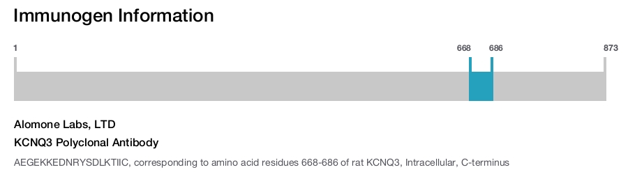 KCNQ3 Polyclonal Antibody