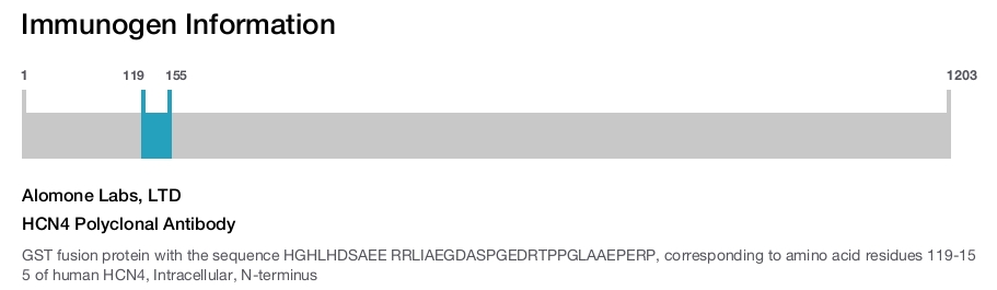 HCN4 Polyclonal Antibody
