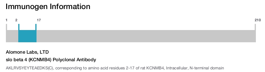 slo beta 4 (KCNMB4) Polyclonal Antibody