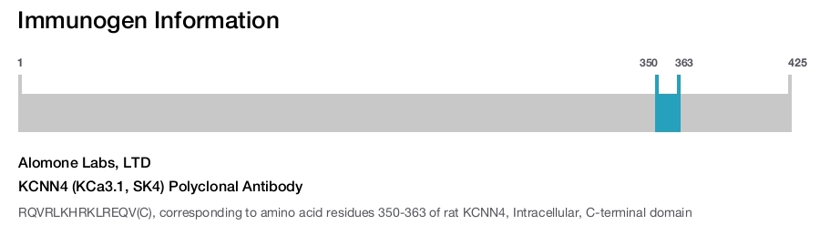 KCNN4 (KCa3.1, SK4) Polyclonal Antibody