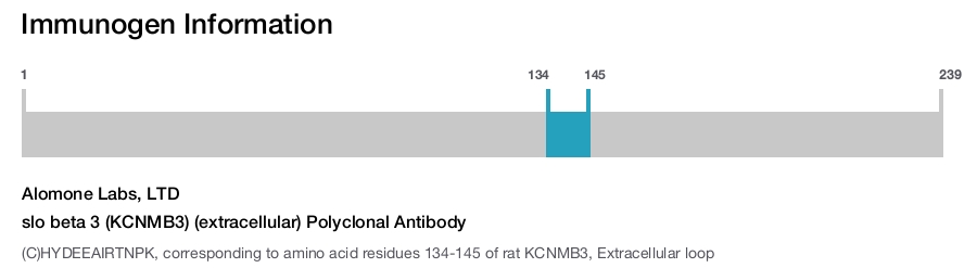 slo beta 3 (KCNMB3) (extracellular) Polyclonal Antibody