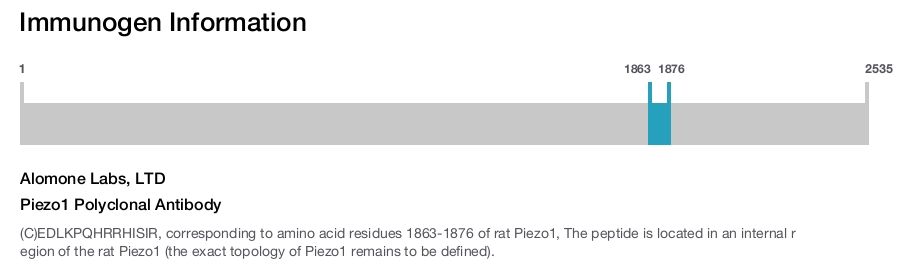 Piezo1 Polyclonal Antibody
