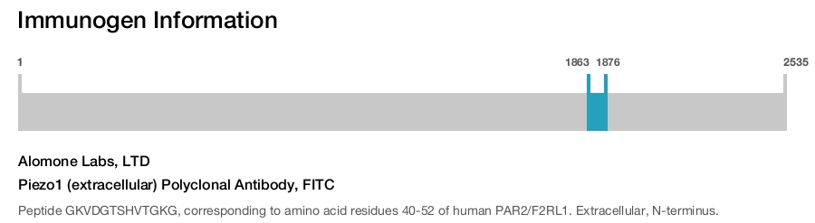 Piezo1 (extracellular) Polyclonal Antibody, FITC