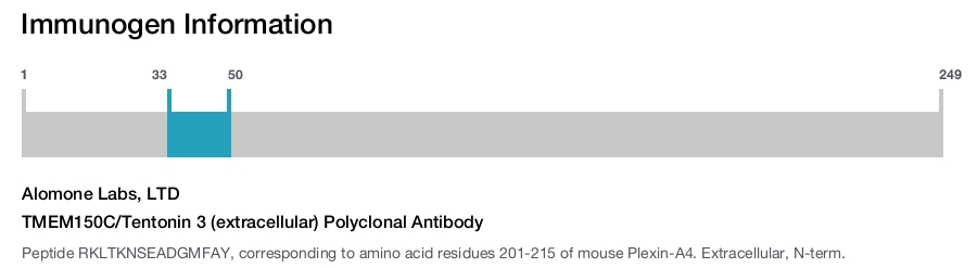 TMEM150C/Tentonin 3 (extracellular) Polyclonal Antibody