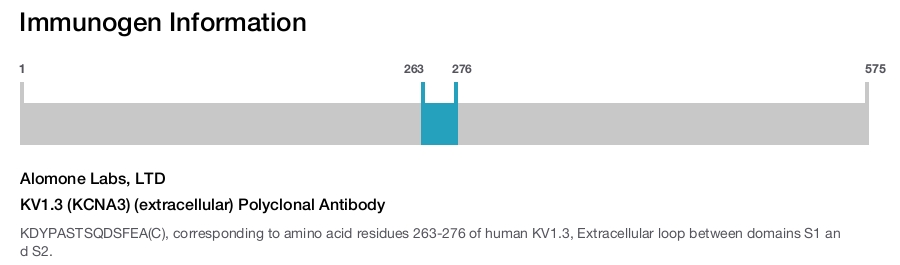 KV1.3 (KCNA3) (extracellular) Polyclonal Antibody
