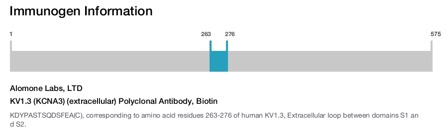 KV1.3 (KCNA3) (extracellular) Polyclonal Antibody, Biotin