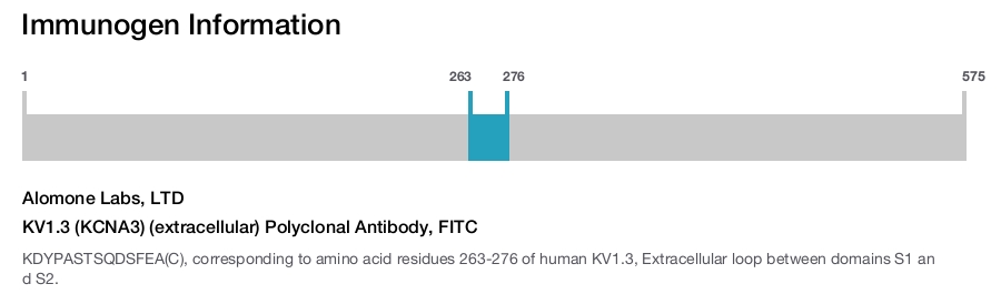 KV1.3 (KCNA3) (extracellular) Polyclonal Antibody, FITC