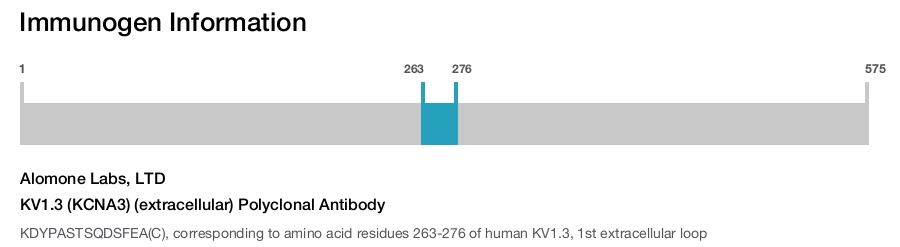 KV1.3 (KCNA3) (extracellular) Polyclonal Antibody