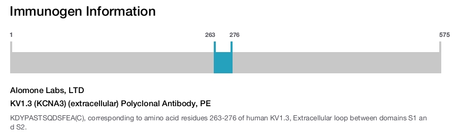 KV1.3 (KCNA3) (extracellular) Polyclonal Antibody, PE