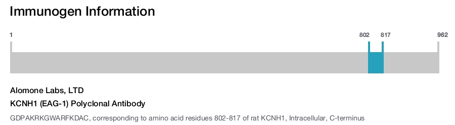 KCNH1 (EAG-1) Polyclonal Antibody