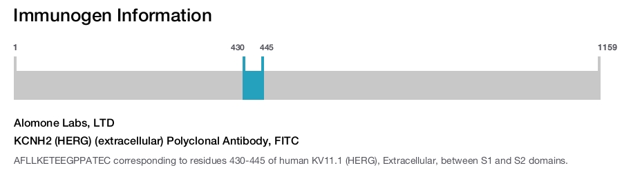 KCNH2 (HERG) (extracellular) Polyclonal Antibody, FITC