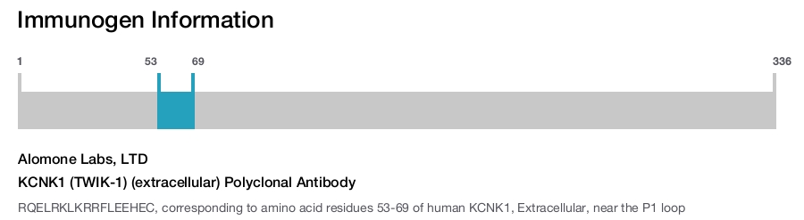 KCNK1 (TWIK-1) (extracellular) Polyclonal Antibody