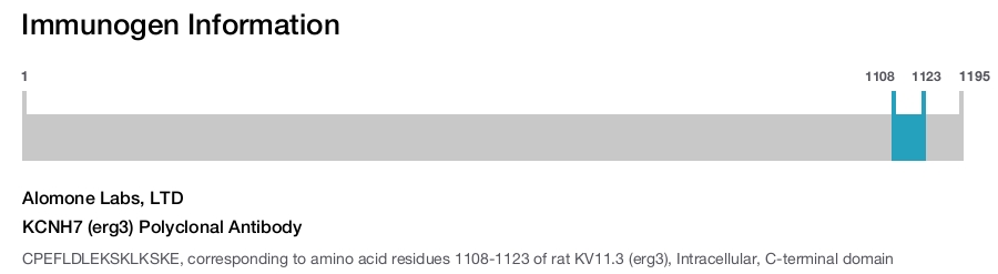 KCNH7 (erg3) Polyclonal Antibody