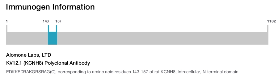 KV12.1 (KCNH8) Polyclonal Antibody