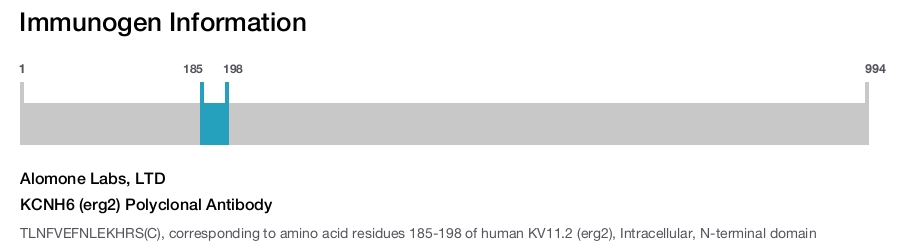 KCNH6 (erg2) Polyclonal Antibody
