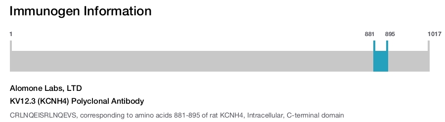 KV12.3 (KCNH4) Polyclonal Antibody