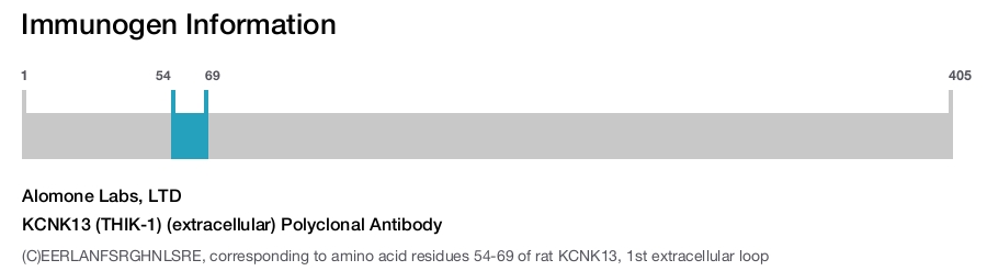 KCNK13 (THIK-1) (extracellular) Polyclonal Antibody