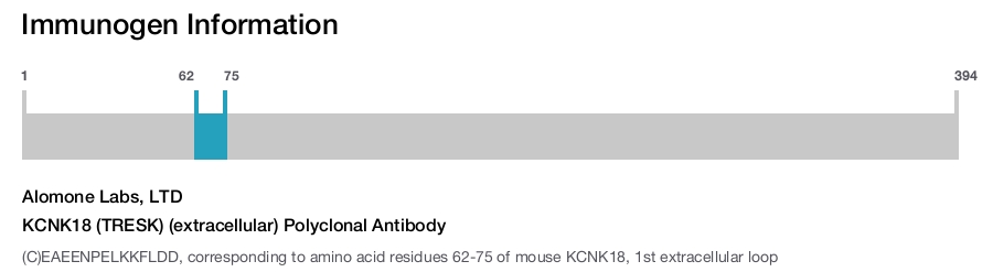 KCNK18 (TRESK) (extracellular) Polyclonal Antibody